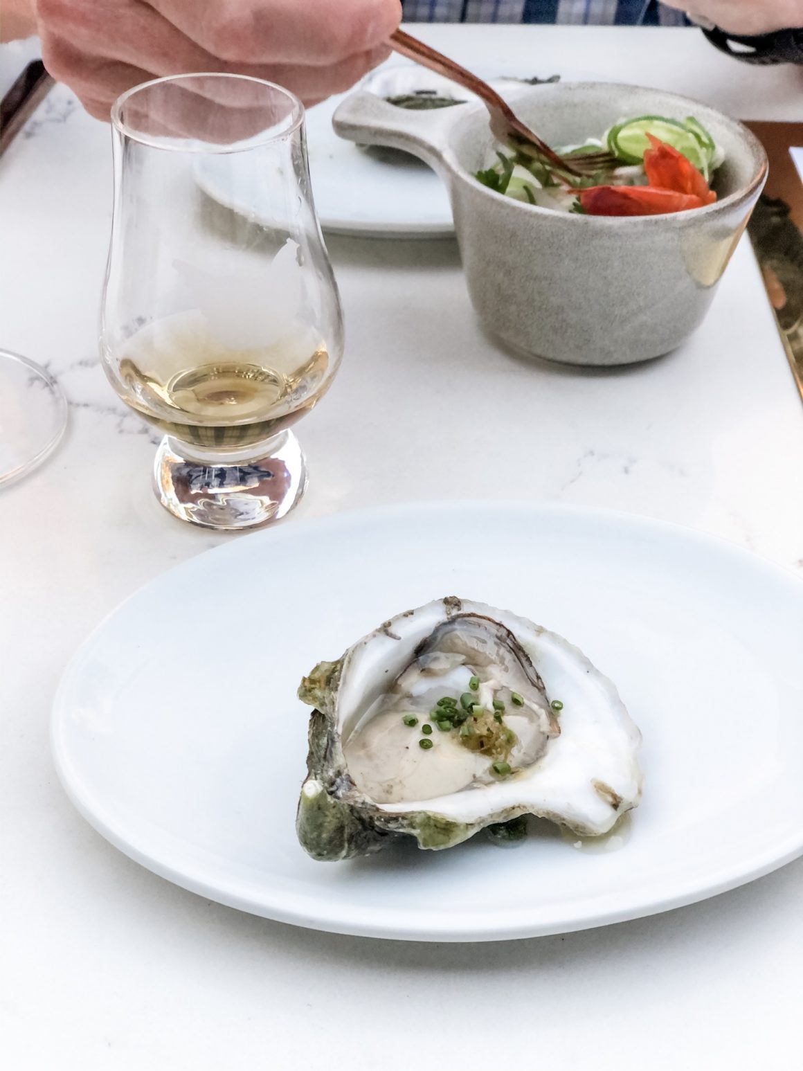 Century Grand and Platform 18 oysters