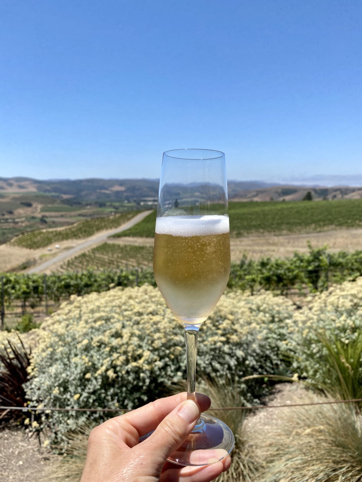 santa barbara guide wine country