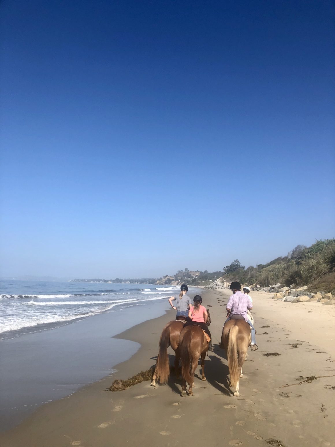 horseback riding, a favorite on my santa barbara guide