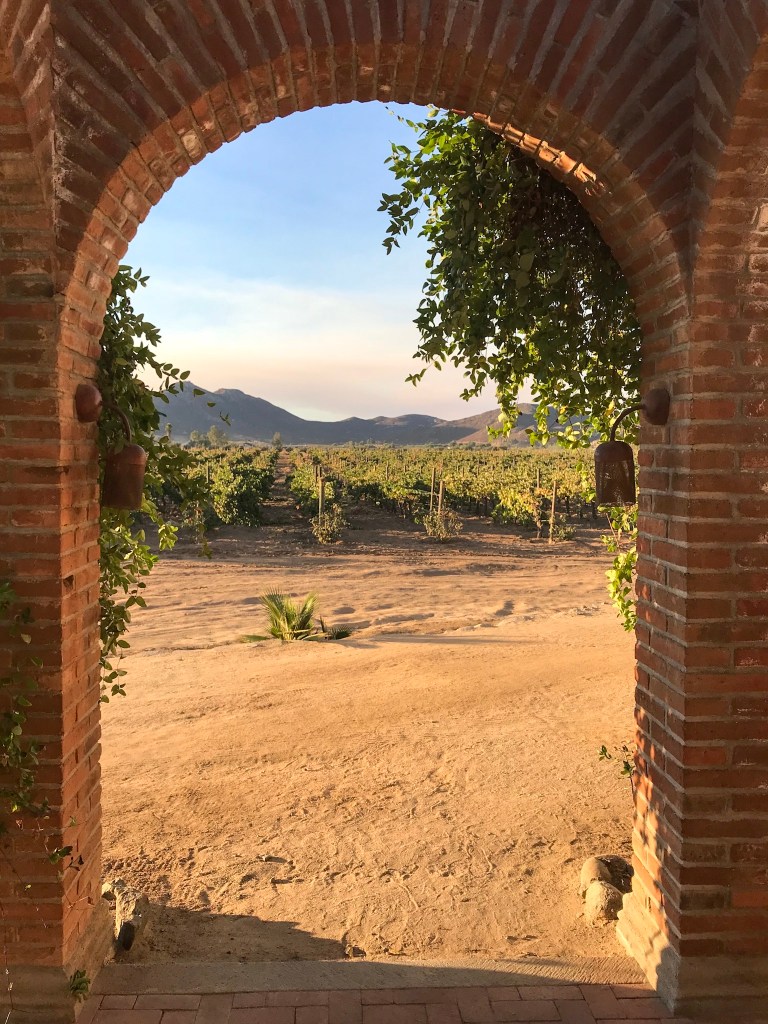 post covid travel - adobe