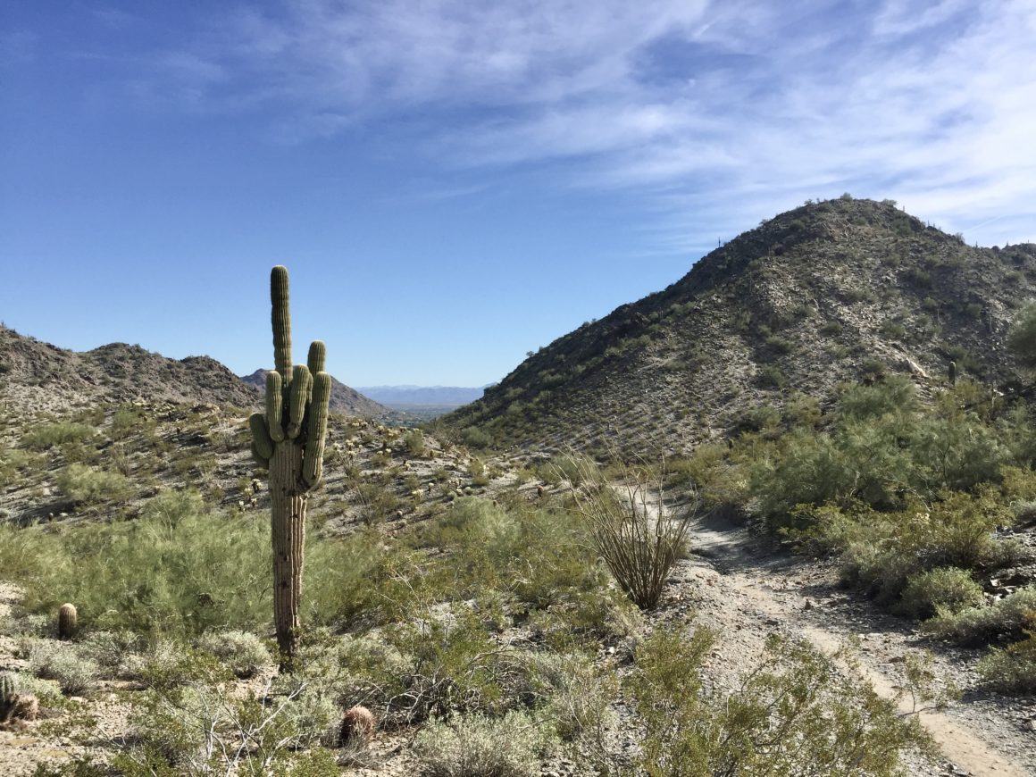 idea summer day, things to do in phoenix summer