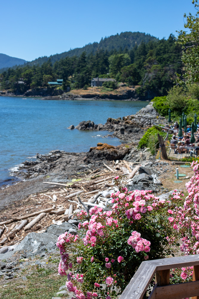 Fishing bay, San juan islands