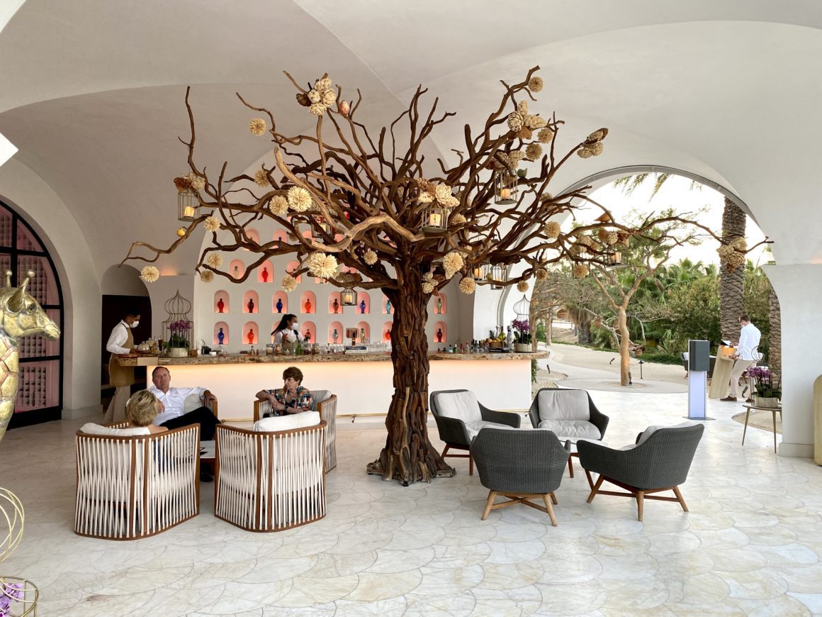 Arbol, best restaurants in Cabo