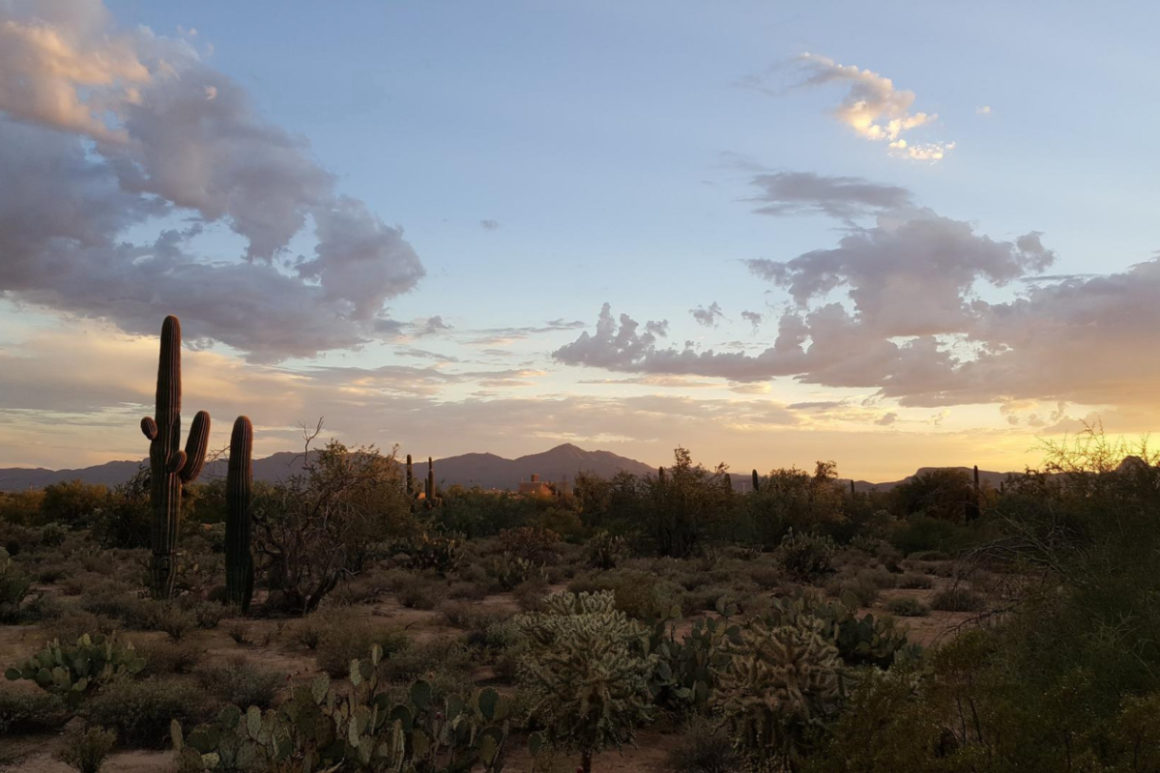 hidden gems in phoenix, hiking trails