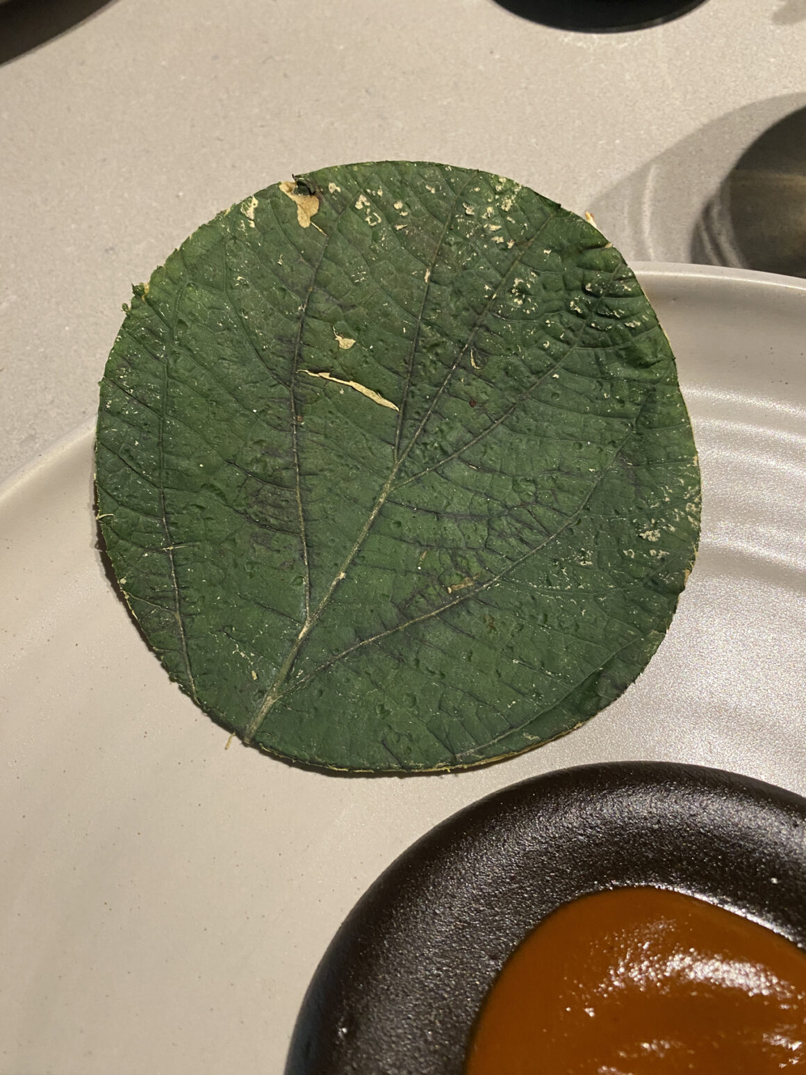 Quintonil. Quintonil